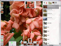 screenshot - click to enlarge