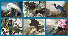 screenshot - click to enlarge