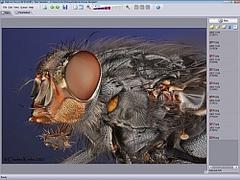 screenshot - click to enlarge