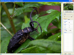 screenshot - click to enlarge