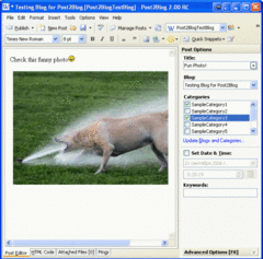 screenshot - click to enlarge