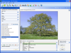 screenshot - click to enlarge