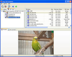 screenshot - click to enlarge