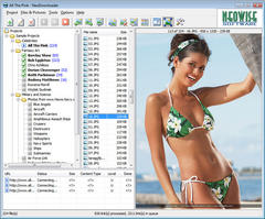 screenshot - click to enlarge