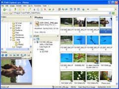 screenshot - click to enlarge