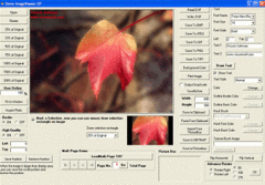 screenshot - click to enlarge